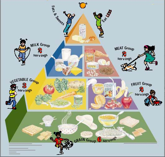 healthy food pyramid for adults. only food commercials.
